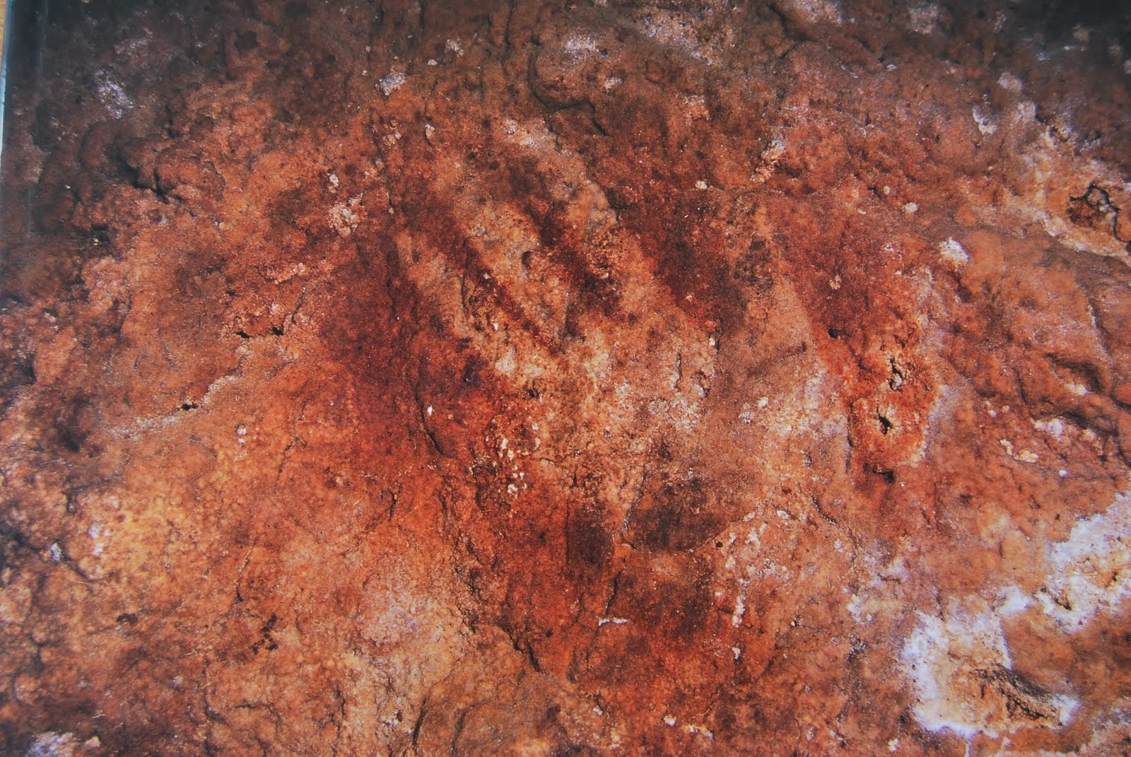 Maltravieso hand paintings